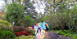 Size: 2097x1080 | Tagged: safe, artist:dashiesparkle, artist:mlplover94, imported from derpibooru, fluttershy, rainbow dash, rarity, pegasus, pony, unicorn, alabama, birmingham, female, garden, irl, looking down, mare, photo, ponies in real life, smiling, spread wings, wings