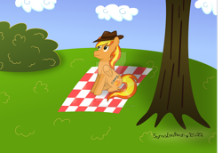 Size: 1024x703 | Tagged: safe, artist:sorasleafeon, imported from derpibooru, oc, oc only, oc:firey ratchet, pegasus, pony, blue sky, bush, cloud, day, deviantart watermark, feathered wings, folded wings, grass, hat, looking up, male, obtrusive watermark, original character do not steal, outdoors, picnic blanket, signature, sitting, sky, smiling, solo, stallion, tree, watermark, wings