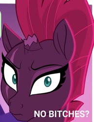 Size: 503x648 | Tagged: safe, artist:katharviss1, artist:maybehawthorn, edit, imported from derpibooru, tempest shadow, pony, unicorn, broken horn, cropped, horn, meme, no bitches?, solo