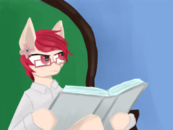 Size: 3671x2764 | Tagged: safe, artist:cunben_mapleleaf, imported from derpibooru, oc, oc:yang_bai, pony, chair, clothes, glasses, meme, newspaper, ponified meme, tom and jerry, tom reading the newspaper