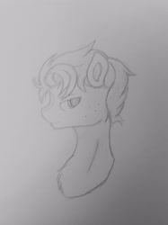 Size: 2731x3642 | Tagged: safe, artist:sodapop sprays, imported from derpibooru, oc, unnamed oc, earth pony, pony, bust, eye, eyes, male, mane, pencil drawing, solo, stallion, traditional art