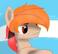 Size: 3460x3222 | Tagged: safe, artist:fededash, imported from derpibooru, oc, oc only, oc:fededash, pegasus, pony, argentina, pegasus oc, profile