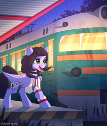 Size: 2000x2365 | Tagged: safe, artist:redchetgreen, imported from derpibooru, oc, oc only, oc:skiu, pegasus, pony, bell, bell collar, clothes, collar, commission, night, smiling, solo, train, train station