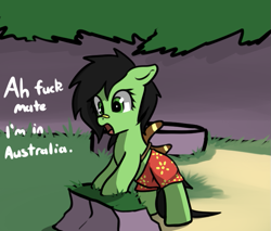 Size: 709x603 | Tagged: safe, artist:neuro, imported from derpibooru, oc, oc only, oc:filly anon, earth pony, pony, boomerang, clothes, crossover, female, filly, foal, shorts, solo, ty the tasmanian tiger, vulgar