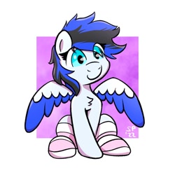 Size: 1222x1223 | Tagged: safe, artist:single purpose, imported from derpibooru, oc, oc only, oc:black ice, pegasus, pony, chest fluff, clothes, female, mare, simple background, socks, solo, striped socks