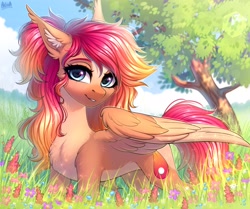 Size: 3500x2922 | Tagged: safe, artist:hakaina, imported from derpibooru, oc, oc only, oc:nova rossi, pegasus, pony, chest fluff, concave belly, ear fluff, flower, fluffy, scenery, slim, solo, thin, tree