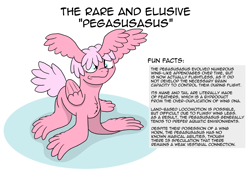 Size: 3052x2100 | Tagged: safe, artist:doodledonutart, imported from derpibooru, oc, oc:pegasusasus, original species, pony, cute, fun fact, horn wing, meme, multiple wings, pegasusasus, puns in the comments, solo, species:pegasusasus, text, thanks m.a. larson, this will end in puns, wat, what has magic done, wing arms, wing ears, wings