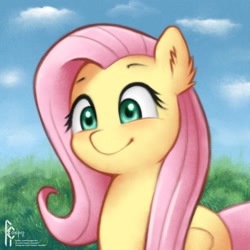 Size: 1620x1620 | Tagged: safe, artist:rcooper, imported from derpibooru, fluttershy, pegasus, pony, cute, ear fluff, female, mare, pink hair, shyabetes, solo