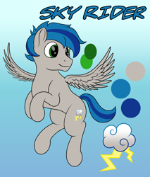 Size: 2554x3000 | Tagged: safe, artist:registereduser, imported from derpibooru, oc, oc only, oc:sky rider, pegasus, commission, cutie mark, flying, male, pegasus oc, reference sheet, solo