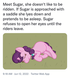 Size: 1170x1298 | Tagged: safe, artist:xppp1n, sugar belle, unicorn, female, mare, meta, ponified animal photo, pretending, sleeping, solo, text, twitter