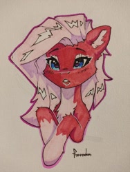 Size: 960x1280 | Tagged: safe, artist:freeedon, imported from derpibooru, oc, oc only, earth pony, pony, chest fluff, solo, traditional art