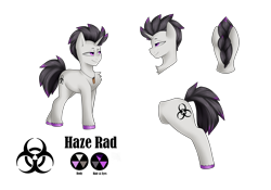 Size: 5427x3791 | Tagged: safe, artist:rinikka, imported from derpibooru, oc, oc only, oc:haze rad, pony, unicorn, bullet, bust, chest fluff, colored hooves, commissioner:biohazard, eyebrows, high res, highlights, horn, jewelry, lidded eyes, male, mohawk, multiple views, necklace, portrait, purple eyes, rear view, reference sheet, side view, simple background, smiling, solo, stallion, transparent background, unicorn oc, unshorn fetlocks
