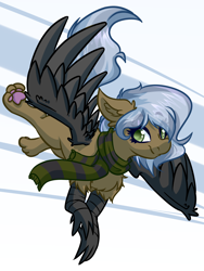 Size: 3000x4000 | Tagged: safe, artist:witchtaunter, imported from derpibooru, oc, oc only, griffon, chest fluff, clothes, commission, ear fluff, flying, griffon oc, happy, paw pads, scarf, simple background, smilinh, solo