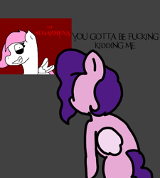 Size: 1275x1414 | Tagged: safe, artist:professorventurer, imported from derpibooru, pipp petals, oc, oc:sugar morning, series:ask pippamena, series:ask sugarmena, g5, pippamena, why