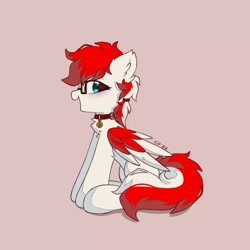 Size: 1080x1080 | Tagged: safe, artist:coarfdraw, imported from derpibooru, oc, oc only, oc:driftbeat, pegasus, chest fluff, collar, colored wings, cute, ear fluff, female, glasses, looking at you, mare, ocbetes, open mouth, pet tag, rule 63, simple background, sitting, solo, wings