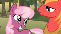 Size: 3410x1920 | Tagged: safe, imported from derpibooru, screencap, big macintosh, cheerilee, earth pony, pony, hearts and hooves day (episode), season 2, cheeribetes, cute, duo, female, grin, high res, looking at each other, looking at someone, male, mare, smiling, smiling at each other, stallion