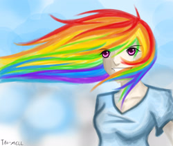 Size: 3752x3152 | Tagged: safe, artist:tao-mell, imported from derpibooru, rainbow dash, human, female, humanized, solo, windswept hair