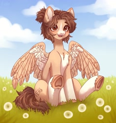 Size: 3275x3465 | Tagged: safe, artist:konejo, imported from derpibooru, oc, oc only, pegasus, pony, solo