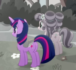 Size: 499x462 | Tagged: safe, imported from derpibooru, screencap, petunia petals, twilight sparkle, alicorn, earth pony, pony, rainbow roadtrip, butt, cropped, desaturated, female, mare, plot, plot pair, twibutt, twilight sparkle (alicorn), wing bling, wings