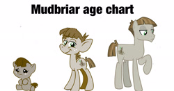 Size: 2048x1074 | Tagged: artist needed, safe, imported from derpibooru, mudbriar, earth pony, pony, age progression, age regression, baby, baby pony, colt, cute, foal, looking at you, male, simple background, solo, stallion, white background, younger