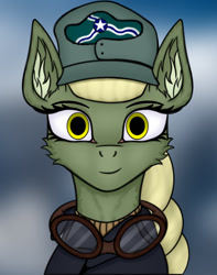 Size: 600x761 | Tagged: safe, artist:wailks, imported from derpibooru, oc, oc only, earth pony, pony, equestria at war mod, bust, clothes, ear fluff, female, glasses, hat, mare, portrait, solo