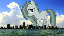 Size: 1920x1080 | Tagged: safe, artist:mrkupkake, artist:thegiantponyfan, imported from derpibooru, marble pie, earth pony, pony, cute, female, florida, giant pony, giant/macro earth pony, giantess, hair over one eye, highrise ponies, irl, looking at you, macro, marblebetes, mare, mega giant, miami, photo, ponies in real life