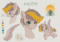 Size: 4096x2892 | Tagged: safe, artist:nettlemoth, imported from derpibooru, oc, oc only, oc:moth, pegasus, pony, flying, freckles, mouth, reference sheet, smiling, solo, spread wings, wings