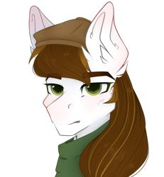 Size: 2500x2700 | Tagged: safe, artist:bananasplitedy, imported from derpibooru, oc, oc only, oc:obermedic, blushing, bust, ear fluff, hat, portrait