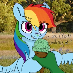 Size: 1371x1366 | Tagged: safe, artist:redruin01, color edit, edit, imported from derpibooru, rainbow dash, oc, oc:anon, human, pegasus, pony, (you), colored, cute, dashabetes, dialogue, eye clipping through hair, eyebrows, eyebrows visible through hair, female, food, hand, holding, human male, human oc, ice cream, ice cream cone, ice cream on nose, irl, looking at you, male, mare, offscreen character, photo, pov, real life background, smiling, smirk, spread wings, talking, talking to viewer, wings