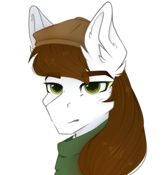 Size: 2500x2700 | Tagged: safe, artist:lickedrainbows, imported from derpibooru, oc, oc only, oc:obermedic, bust, ear fluff, hat, icon, portrait, simple background, solo, transparent background