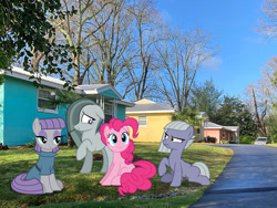 Size: 1000x750 | Tagged: safe, artist:dashiesparkle, artist:gamemasterluna, artist:mlplover94, artist:tomfraggle, imported from derpibooru, limestone pie, marble pie, maud pie, pinkie pie, earth pony, pony, athens, female, floppy ears, frown, georgia (state), irl, mare, photo, pie sisters, ponies in real life, raised hoof, siblings, sisters, sitting, smiling