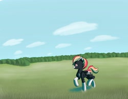 Size: 4500x3500 | Tagged: safe, artist:darkocclusion, imported from derpibooru, oc, oc only, bat pony, pony, cloud, field, sky, solo, tree