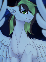 Size: 1920x2560 | Tagged: safe, artist:enderbee, imported from derpibooru, oc, oc:weo, pegasus, pony