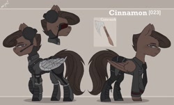 Size: 2560x1543 | Tagged: safe, artist:tttips!, imported from derpibooru, oc, oc only, oc:cinnamon, cyborg, pegasus, pony, fallout equestria, amputee, armor, artificial wings, augmented, brown hair, bulletproof vest, clothes, cutie mark, female, green eyes, headphones, mare, pegasus oc, prosthetic limb, prosthetic wing, prosthetics, reference sheet, simple background, solo, uniform, visor, wings