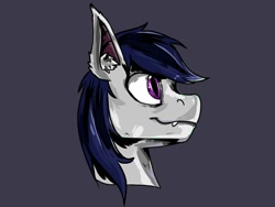 Size: 1080x814 | Tagged: safe, artist:andley, imported from derpibooru, oc, oc only, oc:shatter wind, bat pony, hybrid, pegasus, bust, commission, cute, headshot commission, male, portrait, sharp teeth, smiling, solo, teeth, ych result