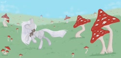 Size: 2560x1237 | Tagged: safe, artist:tttips!, imported from derpibooru, oc, oc only, pegasus, pony, amanita, eyes, female, grass, mare, mushroom, psychedelic, ribbon, running, solo, white hair