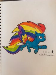 Size: 3024x4032 | Tagged: safe, artist:mlpfantealmintmoonrise, imported from derpibooru, rainbow dash, pegasus, pony, twilight's kingdom, female, g4, mare, pen drawing, pencil drawing, rainbow power, signature, solo, traditional art