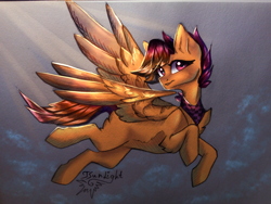Size: 4160x3120 | Tagged: safe, artist:jsunlight, imported from derpibooru, oc, pegasus, pony, absurd file size, solo