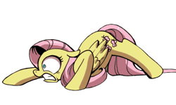 Size: 500x300 | Tagged: safe, edit, editor:fuckomcfuck, idw, imported from derpibooru, fluttershy, pegasus, pony, spoiler:comic, background removed, faic, female, gritted teeth, mare, simple background, solo, teeth, transparent background