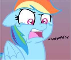 Size: 305x256 | Tagged: artist needed, safe, imported from twibooru, rainbow dash, pegasus, pony, crying, female, image, mare, needs more jpeg, open mouth, solo, teary eyes, upset, whimpering
