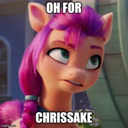 Size: 500x500 | Tagged: safe, edit, edited screencap, imported from derpibooru, screencap, sunny starscout, earth pony, pony, spoiler:my little pony: a new generation, annoyed, bust, cropped, female, g5, mare, my little pony: a new generation, reaction image, solo