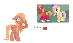 Size: 1600x940 | Tagged: safe, artist:aunickakim, imported from derpibooru, big macintosh, fluttershy, oc, oc:tiny cruch, earth pony, pegasus, pony, base used, braided tail, deviantart watermark, female, fluttermac, freckles, jewelry, male, mare, necklace, obtrusive watermark, offspring, parent:big macintosh, parent:fluttershy, parents:fluttermac, screencap reference, shipping, simple background, straight, tail, text, watermark, white background