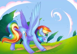 Size: 4096x2896 | Tagged: safe, artist:artharuhi, imported from derpibooru, rainbow dash, pegasus, pony, action pose, butt, female, mare, plot, rainbutt dash, solo, unshorn fetlocks