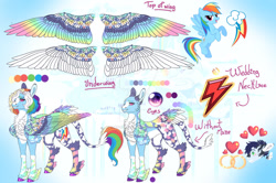 Size: 1280x850 | Tagged: safe, artist:malinraf1615, imported from derpibooru, rainbow dash, soarin', pegasus, pony, alternate design, alternate hairstyle, chest fluff, colored wings, ear fluff, female, grin, heart, jewelry, leg fluff, leonine tail, male, mare, markings, multicolored wings, one eye closed, redesign, reference sheet, ring, shipping, smiling, soarindash, solo focus, stallion, straight, tail, unshorn fetlocks, wedding ring, wings, wink