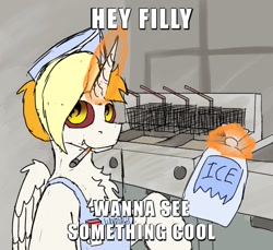 Size: 740x678 | Tagged: safe, artist:reddthebat, imported from derpibooru, oc, oc only, oc:dyx, alicorn, pony, bag, caption, chest fluff, cigarette, female, fryer, horn, ice, image macro, mare, meme, older, older dyx, ponified meme, smoking, solo, talking to viewer, text, this will end in fire, this will end in pain, wings