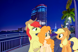 Size: 2700x1800 | Tagged: safe, artist:cloudy glow, artist:itv-canterlot, artist:mlplover94, imported from derpibooru, applejack, bright mac, pear butter, earth pony, pony, cowboy hat, crying, father and child, father and daughter, female, florida, hat, high res, irl, male, mare, mother and child, mother and daughter, photo, ponies in real life, stallion, stetson, tears of joy, teary eyes, west palm beach