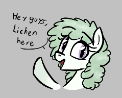 Size: 239x192 | Tagged: safe, artist:seafooddinner, imported from derpibooru, oc, oc only, oc:lichen, pony, aggie.io, bust, dialogue, female, gray background, lowres, mare, open mouth, pun, raised hoof, simple background, smiling, talking, yakutian horse