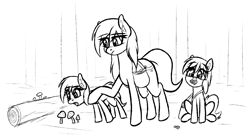 Size: 1667x918 | Tagged: safe, artist:seafooddinner, imported from derpibooru, oc, oc only, oc:meadow frost, oc:snowfall, oc:tundra tracker, pony, bag, black and white, eye clipping through hair, female, filly, foal, grayscale, holding back, log, mare, monochrome, mouth hold, mushroom, open mouth, pinecone, saddle bag, satchel, siblings, sisters, sitting, sketch, trio, yakutian horse