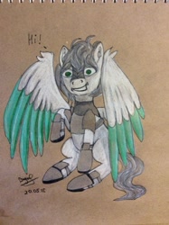 Size: 1613x2160 | Tagged: safe, artist:askavidt, imported from derpibooru, oc, oc:light knight, pegasus, pony, armor, crazy face, faic, guard, knight, male, pegasus oc, solo, traditional art, wings