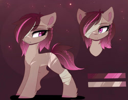 Size: 1433x1125 | Tagged: safe, artist:magnaluna, imported from derpibooru, oc, oc only, oc:valyriem valai, earth pony, pony, bandage, bookshelf, braid, bust, chest fluff, eyepatch, female, full body, hair over one eye, mare, portrait, reference sheet, scar, smiling, solo